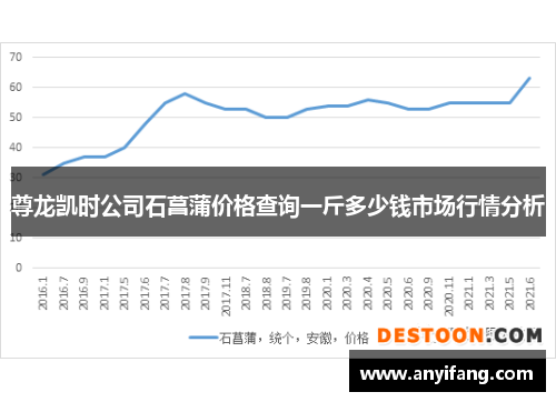 尊龙凯时公司石菖蒲价格查询一斤多少钱市场行情分析